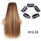 Glatte Extensions